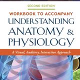 Understanding Anatomy & Physiology: A Visual, Auditory, Interactive Approach: A Visual, Auditory, Interactive Approach