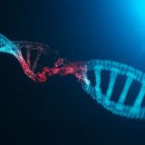 DNA damage can last unrepaired for years changing our view of mutations