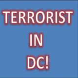 DONALD J TRUMP IS A TERRORIST LEADER! NO GRAY! @REALDONALDTRUMP #REPUBLICANS