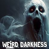 POLTERGEISTS | Supernatural Manifestation, Human Agent, or Both? Or Something Else Even Scarier?