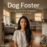 Dog Foster - So You Want to Foster: Busting Myths and Walking You Through the Door