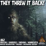 Threw Rocks, Watched Me Run — Bigfoot Encounter in Oregon Mountains