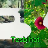 Tesbihat