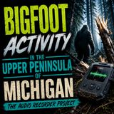 BIGFOOT ENCOUNTERS IN MICHIGAN | SOMETHING HUGE WAS LIVING IN THE MICHIGAN WILDERNESS