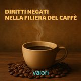 Diritti negati nella filiera del caffè