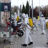 Zoonosis: el vínculo invisible entre animales, virus y pandemias
