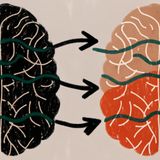 How to reverse Alzheimer: The Hidden Causes and Forgotten Cures