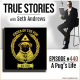 True Stories #440 - A Pug's Life