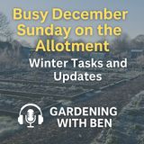 🎧 ❄️ Busy December Sunday on the Allotment | Winter Tasks & Updates