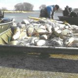Ferryville Wisconsin- Commercial Fishing