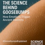 The Science Behind Goosebumps: How Emotions Trigger Ancient Instincts