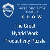 #250: The Great Hybrid Work Productivity Puzzle