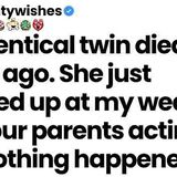 My twin died 8 years ago_she just appeared at my wedding like nothing happened