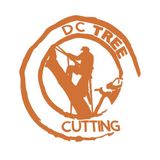 A Homeowner's Guide to Storm-Damaged Trees