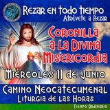 CORONILLA A LA DIVINA MISERICORDIA DE HOY MIERCOLES 11 DE JUNIO 2025. 🙏 REZAR EN TODO TIEMPO. 