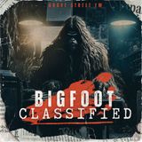 Mini_EP // Baby Bigfoot // Bedford_VA