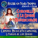 CORONILLA A LA DIVINA MISERICORDIA DE HOY LUNES 9 DE JUNIO 2025. 🙏 REZAR EN TODO TIEMPO.   