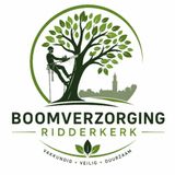 De_impact_van_luchtvervuiling_op_bomen