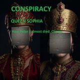 “The culmination of Sophia’s conspiracy. How Peter I almost died in 1689"