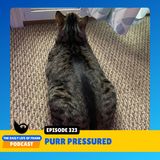 Episode 323: Purr Pressured