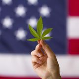 Cannabis in USA 15 miliardi di tasse in 9 anni