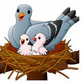 Marit en haar duiven | Verhaaltjes Over Familie