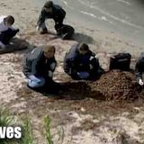 The Most Insane Ways Killers Tried To Hide A Body _ The New Detectives