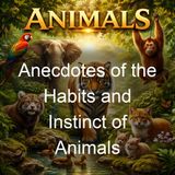 Anecdotes of the Habits and Instinct of Animals - Mrs Robert Lee