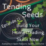 Ep 11 - Build Your Homesteading Skills Now