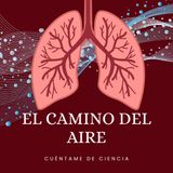 El camino del aire