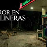 6 HISTORIAS MACABRAS OCURRIDAS EN GASOLINERAS