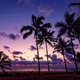 Episode 1559 - Jarvis Kingston Real Madrid Talavera Brentford Mariah The Scientist Young Thug Newcastle Fulham FIFA NBA All Star Voting KD !