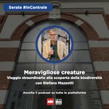 #9 - Meravigliose creature: viaggio straordinario alla scoperta della biodiversità