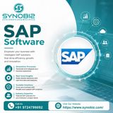 Understanding SAP Software and Its Business Advantages
