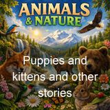 Puppies and kittens and other stories - Carine Cadby