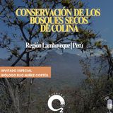 NUESTRO OXÍGENO Conservación en los bosques secos de colina en la región Lambayeque, Perú