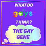 Is Being Gay Genetic? The Ins and Outs of Same-Sex Behavior Research