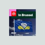 In Brussel: Met Dorian de Meeûs en Steven Van Garsse over het gewest zonder regering