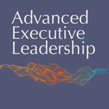 #24 Enterprise leadership and the Perilous Peak
