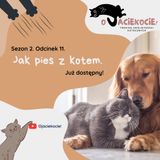 S2E11 - Jak pies z kotem.