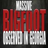 Massive Bigfoot Observed in Georgia