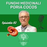 Funghi Medicinali: PORIA COCOS