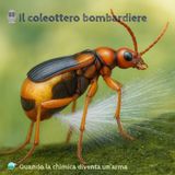 🎙️Fuori Scala #16 - Il coleottero bombardiere -