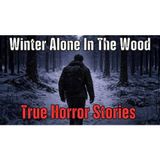 Alone in the Frozen Woods… 3 Disturbing True Winter Horror Stories