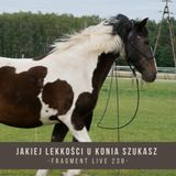 Jakiej lekkości u konia szukasz - fragment live 238