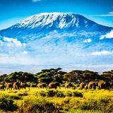 Kilimanjiaro, dalla savana al cielo