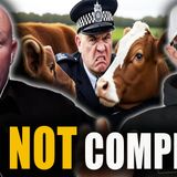 I Built A Farm Without Planning Permission | Clive Edwards