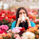 Acupuncture for Allergies: What the Latest Research Shows