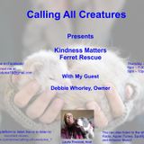 Calling All Creatures Presents KIndness Matters Ferret Rescue