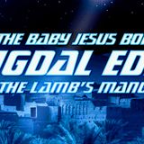 NTEB RADIO BIBLE STUDY: The Baby Jesus Was Born In A Stone Manger At Migdal Eder To Be Certified As The Spotless Lamb Of God In Bethlehem